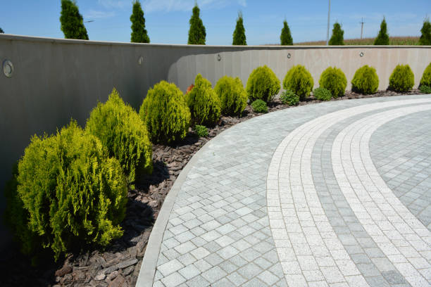 Reliable Red Lake, AZ Driveway Pavers Solutions